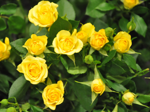 429630 (a): :1600x1200